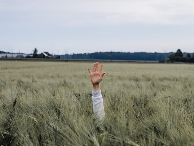 Personalised Support